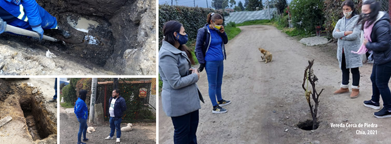 arreglo cerca de piedra chia 2